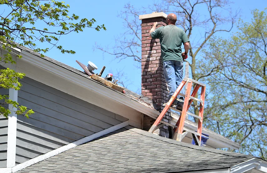 Chimney & Fireplace Inspections Services in DeLand, FL